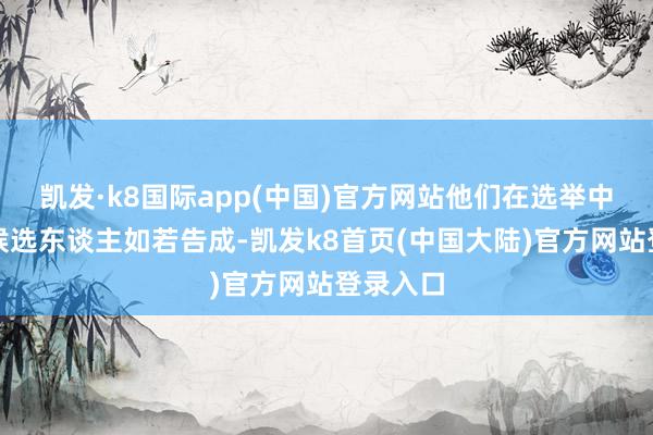 凯发·k8国际app(中国)官方网站他们在选举中补助的候选东谈主如若告成-凯发k8首页(中国大陆)官方网站登录入口