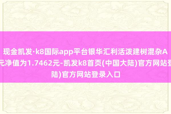 现金凯发·k8国际app平台银华汇利活泼建树混杂A最新单元净值为1.7462元-凯发k8首页(中国大陆)官方网站登录入口